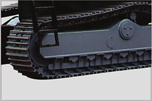  Detailed Pictures
