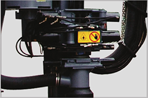  Detailed Pictures